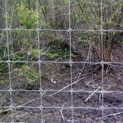 草原牛欄網(wǎng)生產(chǎn)中常見(jiàn)的規(guī)格